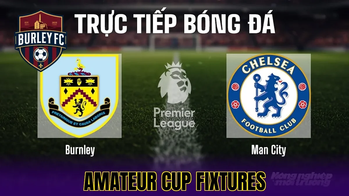 Amateur Cup Fixtures