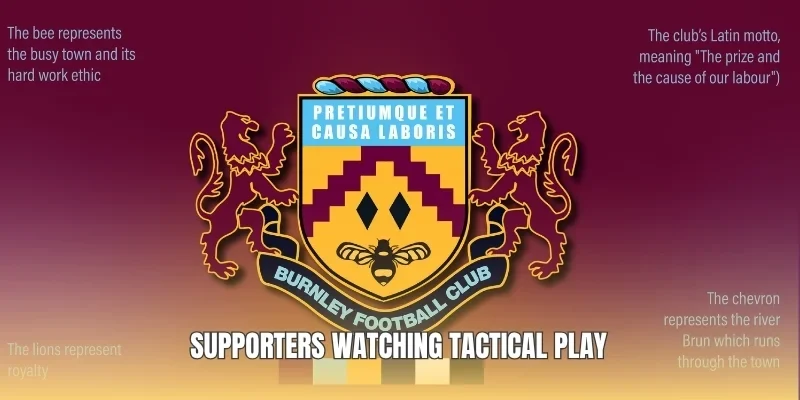 Supporters watching tactical play