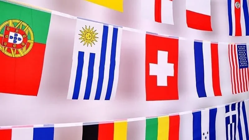 Buy team flags in different sizes and designs to match your needs